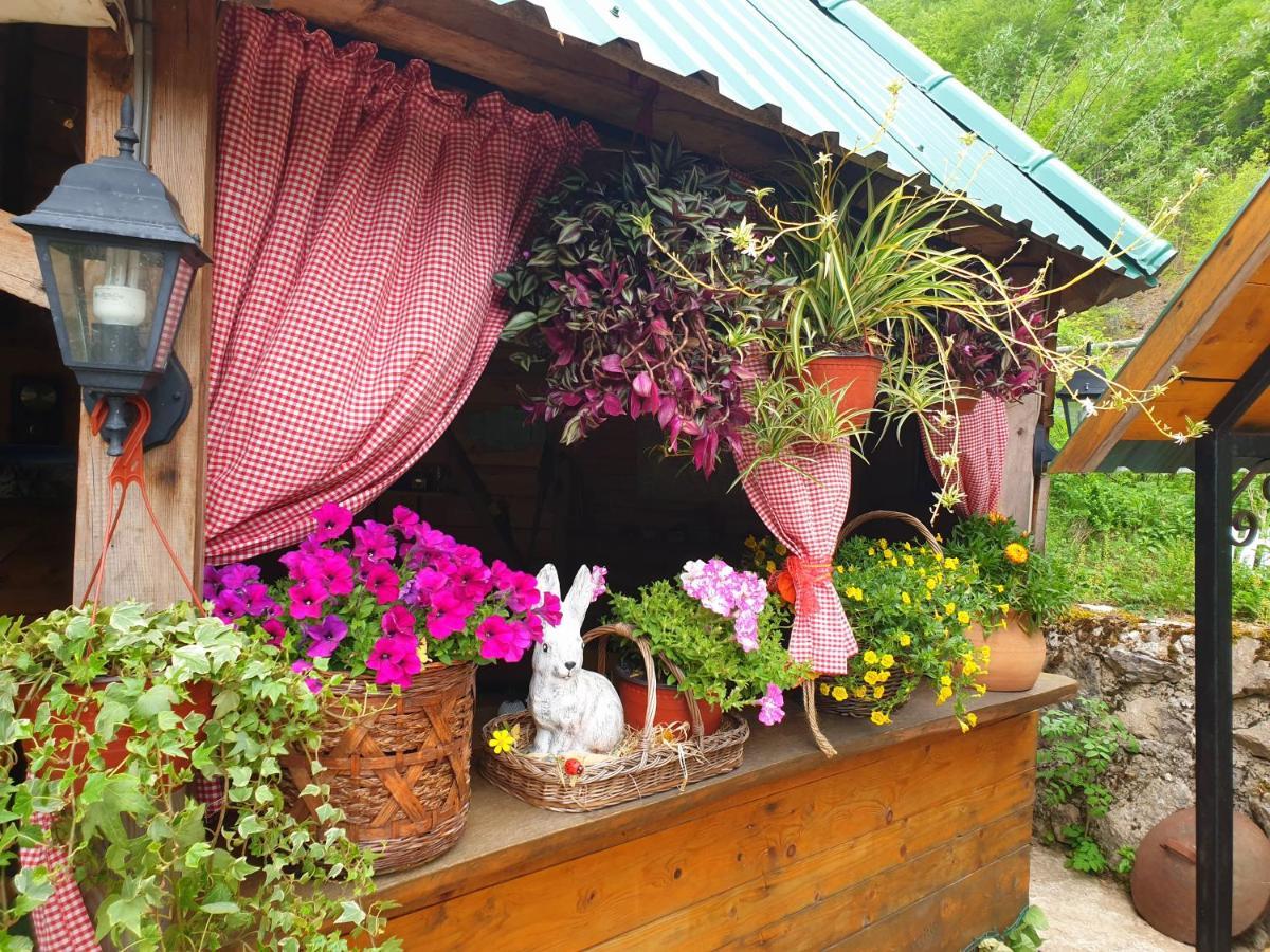 Kamp Vrbnica Gasthof *